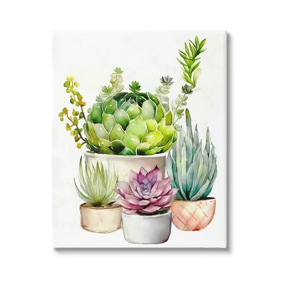 Stupell Industries Varied Succulent Garden Plants Botanical & Floral Painting Gallery Wrapped Canvas Print Wall Art