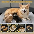 thumbnail image 2 of Pet Playpen for Small Animal Indoor Cats Enclosed, Pop up Dog Playpen Outdoor Tent Crate Cage with Locking Zipper Top Cover Door for Puppy Kitten Tent-Small, 2 of 9