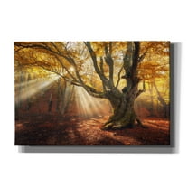 Epic Graffiti 'Enchanted Forest' Canvas Wall Art, 60"x40"