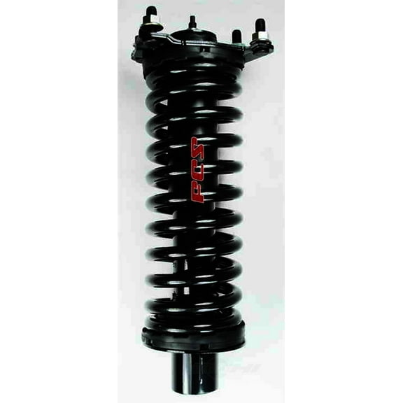 Suspension Strut and Coil Spring Assembly