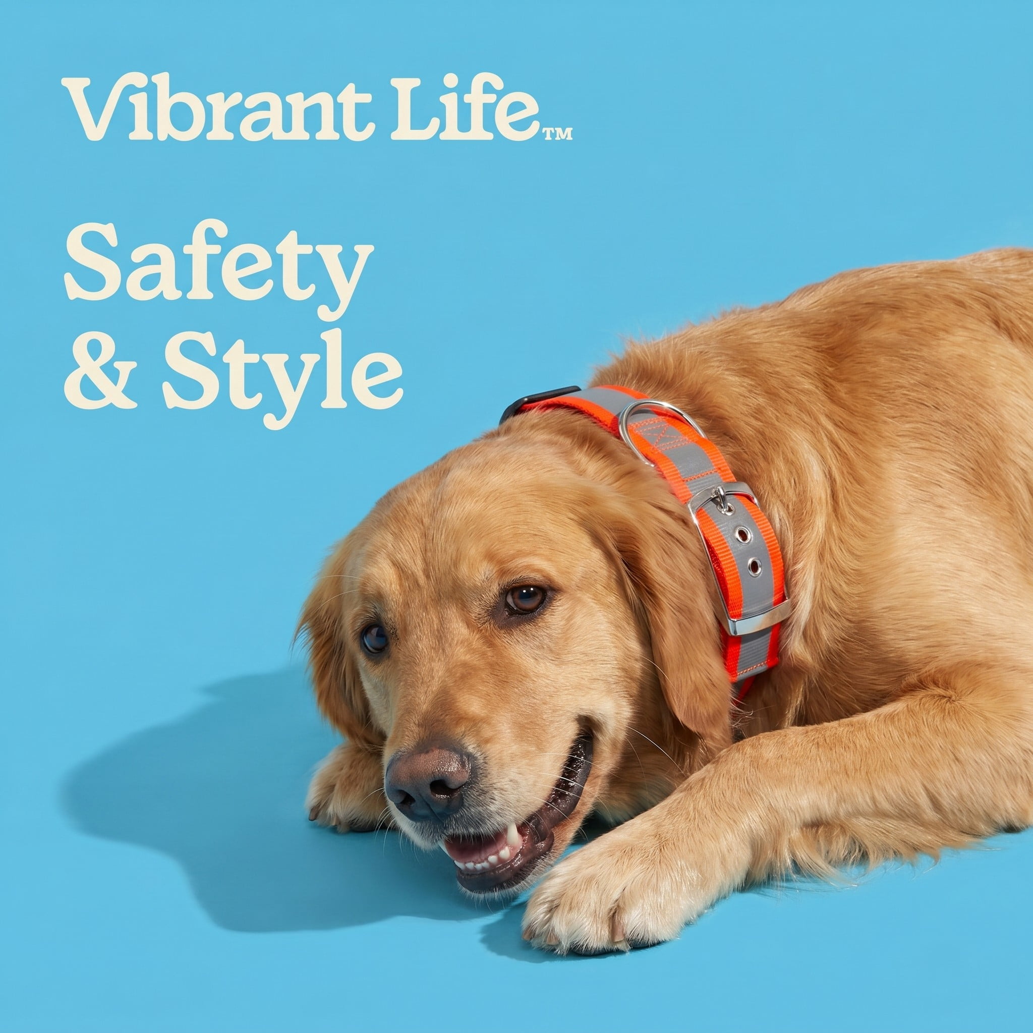 (3 pack) Vibrant Life Polyester Extra Wide Reflective Adjustable Dog Collar, Orange, L