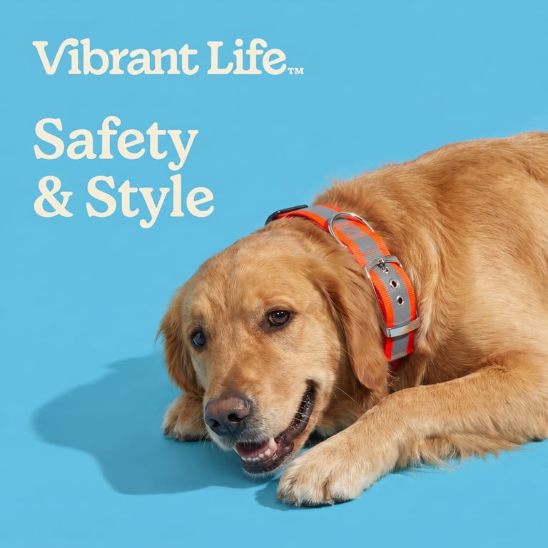 Vibrant Life Extra Wide Reflective Dog Collar, Orange photo 4