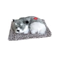 thumbnail image 2 of Top Picks! Drppepioners Car,Activated Car,Bon Simulation Dog Charcoal Purification Home Car,Decor, 2 of 3