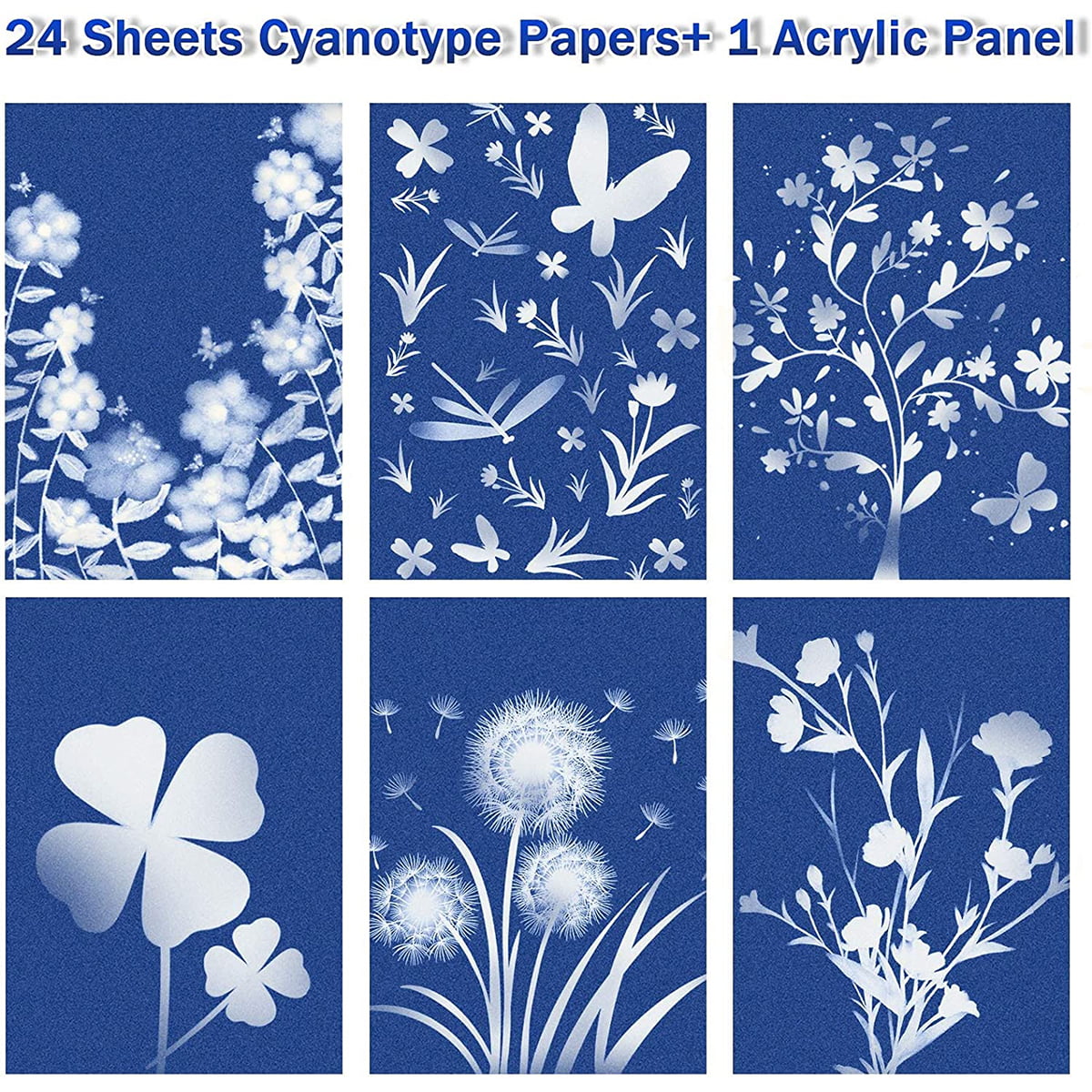 Five Wishes Cyanotype Art 5x7 Watercolor Paper Sun 