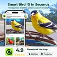 thumbnail image 4 of Kiwibit Smart Bird Feeder with Camera, 4K Ultra HD Video, No Subscription AI Identify 10000+ Species, Easy Setup, Ideal Gift for Bird Lovers, 4 of 14