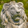 thumbnail image 6 of Magnesium Pair of Lion Statues (Set of 2)(Outdoor Safe), 6 of 8