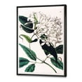 thumbnail image 3 of Designart 'Ancient Plant Life XXIV' Traditional Framed Canvas Wall Art Print, 3 of 5