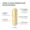 thumbnail image 3 of Primal Harvest Multivitamin 2 Pack: Daily Multvitamin Supplements for Men's & Women's Health (60 Count), 3 of 8