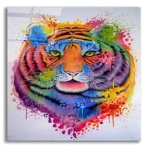 Epic Art 'Tiger Splash' by Ivan Negrete, Acrylic Glass Wall Art, 12"x12"