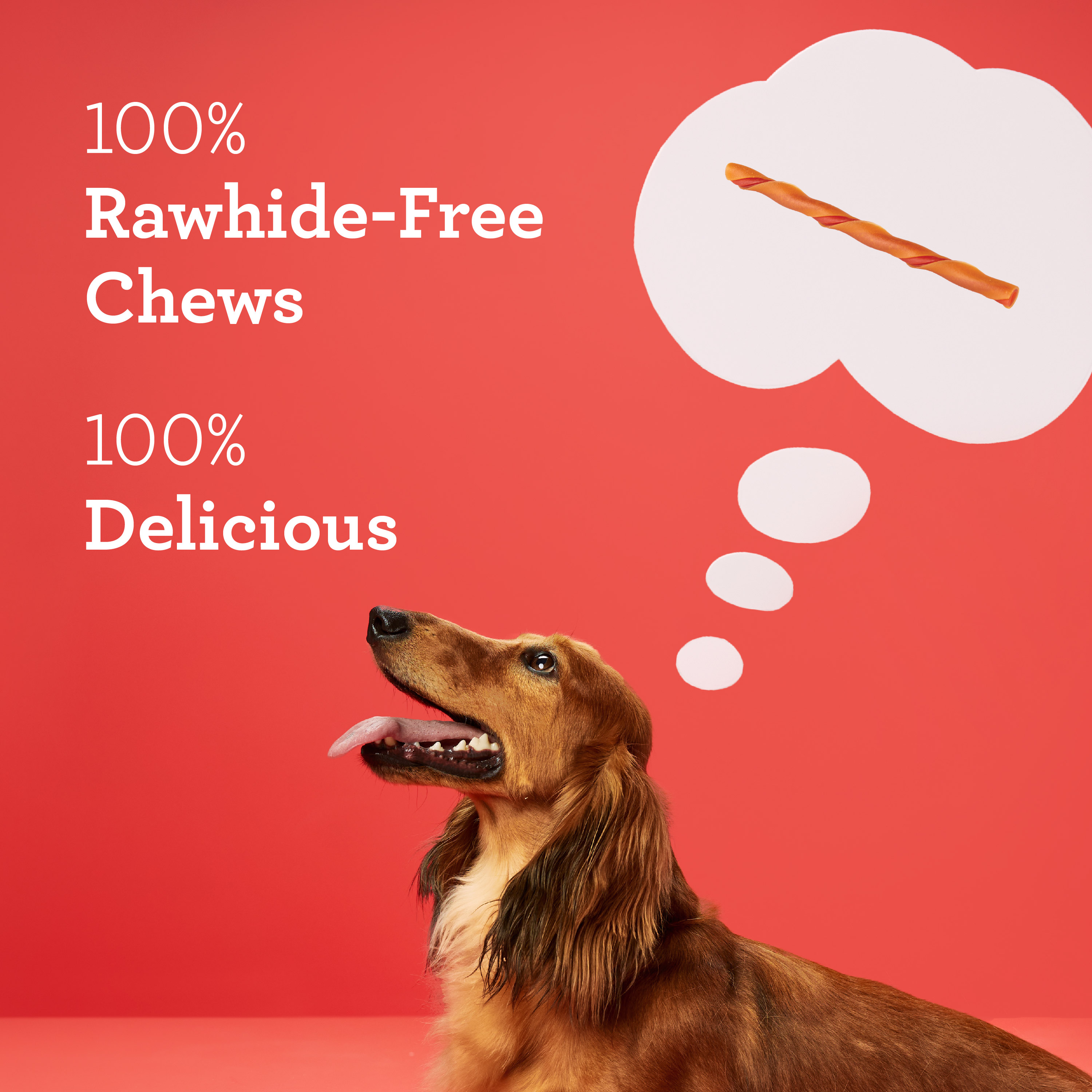 DreamBone Twist Sticks Rawhide-Free Dog Chews, Peanut Butter, 50 Count photo 4