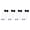 4 black and 4 white, variant on 8Pcs Ladders Golfs Replacement Hard Golfs Training Ladders Toss Game for Outdoor Sport Throwing Game