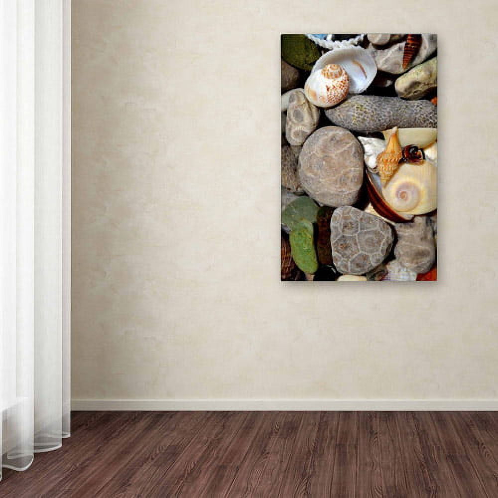 Trademark Fine Art "PetoskeyStones ll" Canvas Art by Michelle Calkins