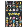 thumbnail image 1 of Pokémon - All Time Favorites Wall Poster, 14.725" x 22.375" Framed, 1 of 4