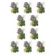 thumbnail image 2 of Yuarrent Hoja seca natural en relieve hojas prensadas decoración postal del hogar para tarjetas de boda de resina hoja verde 8 Type1 NO1, 2 of 6