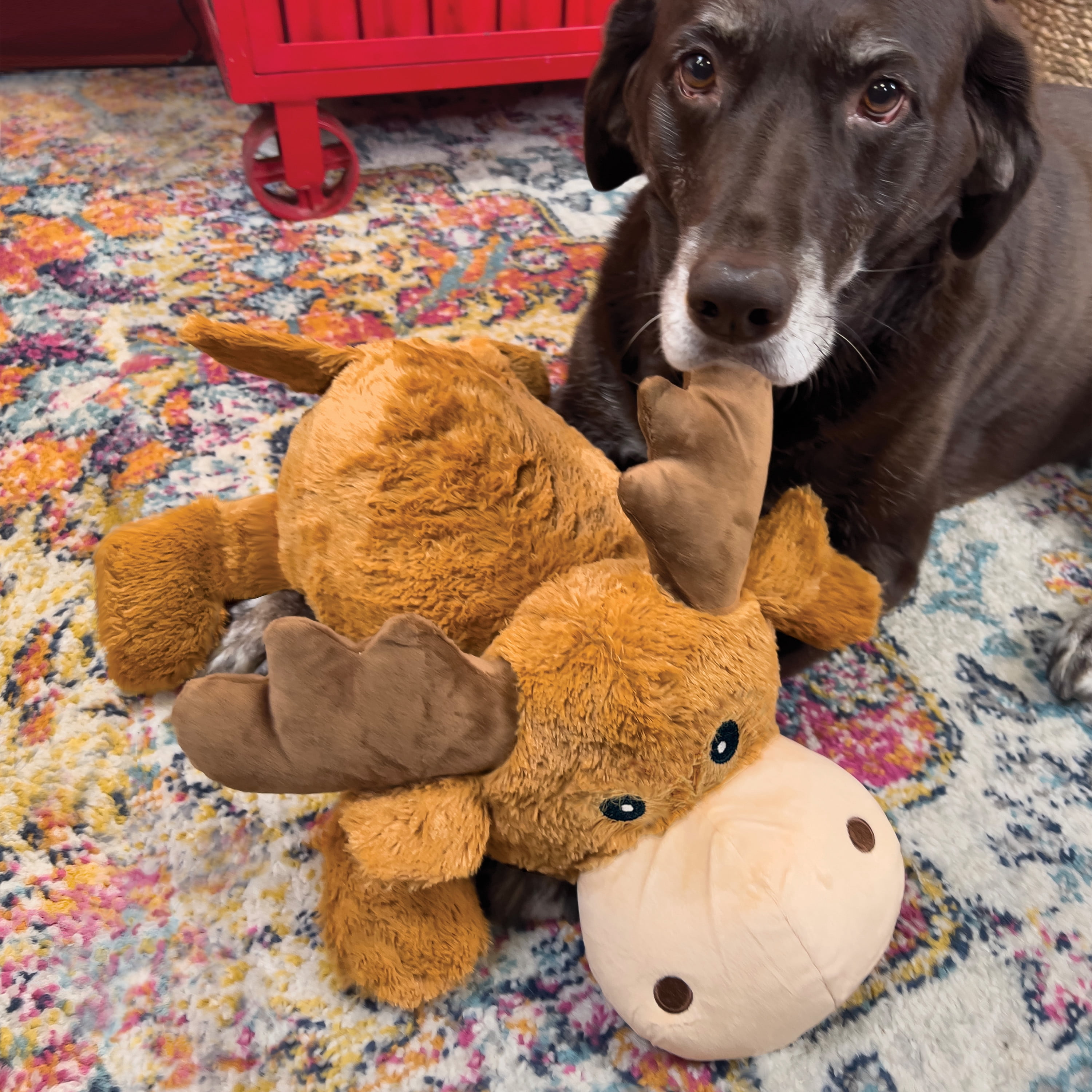 KONG® Cozie™ Plush Dog Toy with Squeaker, Marvin the Moose, Jumbo Extra Large