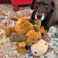 thumbnail image 4 of KONG® Cozie™ Plush Dog Toy with Squeaker, Marvin the Moose, Jumbo Extra Large, 4 of 6