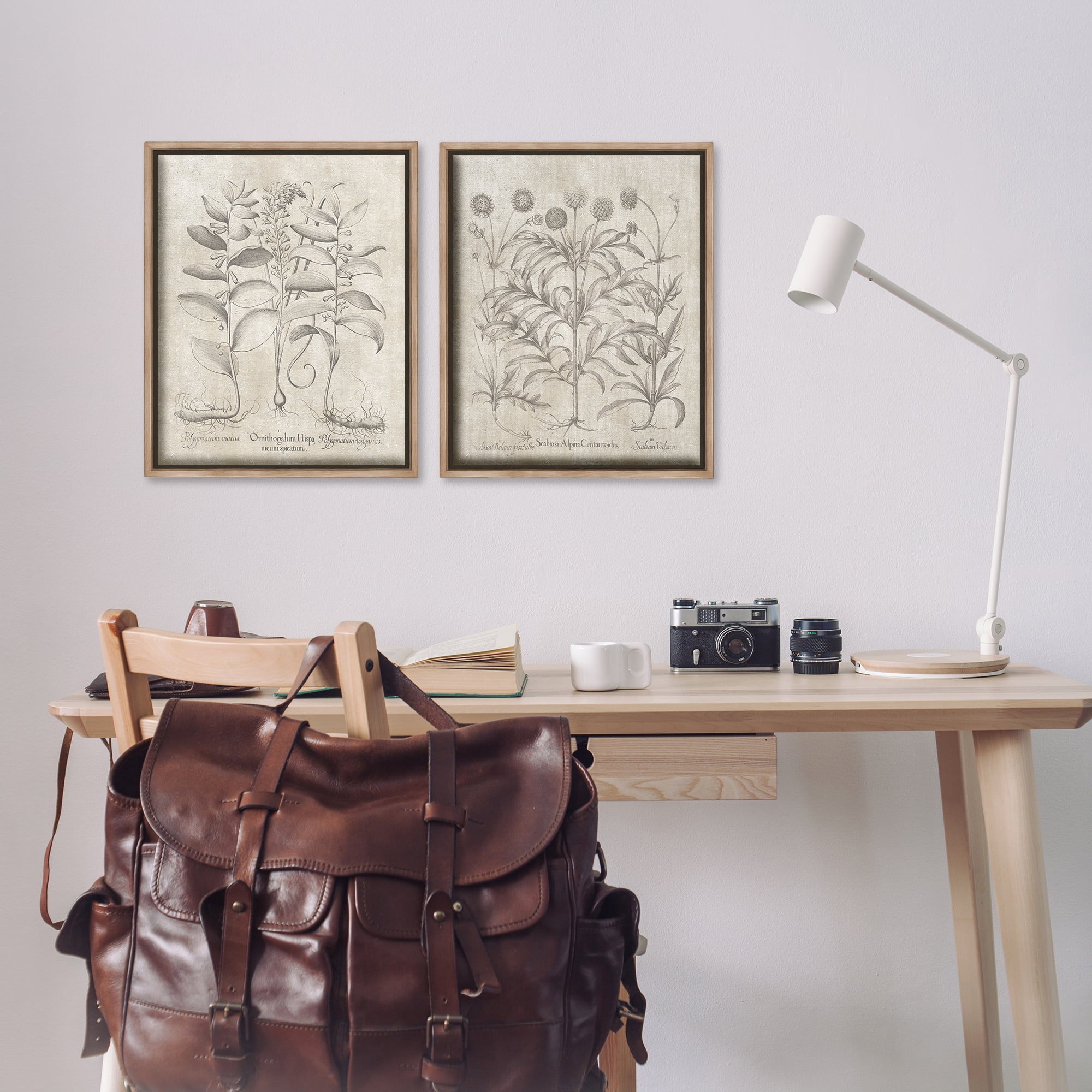 Stupell Industries Soft Botanical Study Plants & Flowers Painting Brown Floater Framed Canvas Art Print Wall Art, 17 x 21, Set of 2