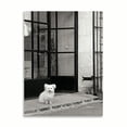 thumbnail image 2 of Gango Home Decor Little Dog V by Rita Crane (Printed on Paper); One 24x36in Fine Art Paper Giclee Print, 2 of 4