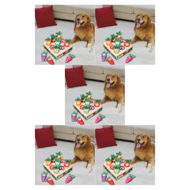 Maytalsory Adorable Carrot Plush Toy for Dogs Interactive Vegetable Fruit Pulling Carrots Plaything 9 Holes 5Set