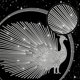 thumbnail image 3 of Calcomanía termoadhesiva de pavo real con diamantes de imitación, brillante, con plumas, parche de transferencia de calor, para reparación de ropa, 3 of 9