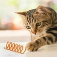 thumbnail image 3 of Jouet Interactif pour Chat, Tube à Ressort pour Activité de Jeu Ludique à Rebond et Auto-Divertissement pour Animaux, pour Usage Intérieur et Extérieur, 3 of 4