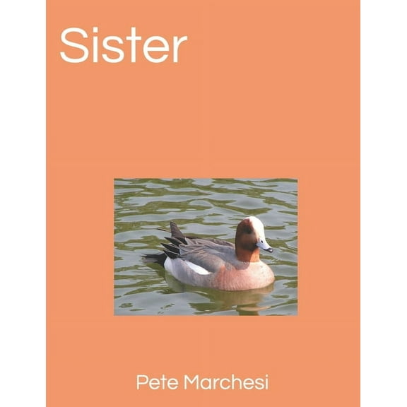 Sister (Paperback)