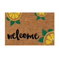thumbnail image 1 of Giyblacko Carpet Door Mats Lemon Mat Holiday Mat Welcome Door Mat Polyester Door Mat, 1 of 1