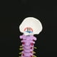thumbnail image 1 of Modelo De Columna Vertebral Humano Anatómico Flexible De Tamaño Natural Nuevo Color ANGGREK Otros, 1 of 8