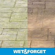 Wet & Forget Moss, Mold, Mildew & Algae Stain Remover Concentrate - 4 Pack, 1 Gal Each