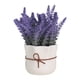 thumbnail image 2 of Maceta de flores BLESIY Bonsái en maceta de lavanda para oficina de Cocina de hotel Estilo A, 2 of 8