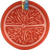 Play Day Orange Citrus Pattern 16" Big Jumbo Flying Disc
