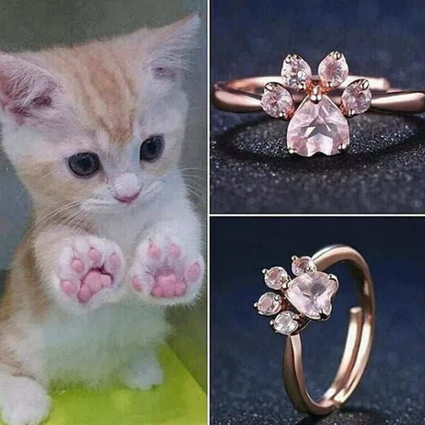 Anillo de gato sale