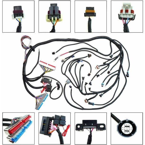 1997-2006 LS1 Standalone Wiring Harness Drive By Cable 4L60E 4.8 5.3 6.
