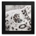 thumbnail image 4 of 2024 Mongolia 3 oz Silver Proof Snow Leopard, 4 of 4