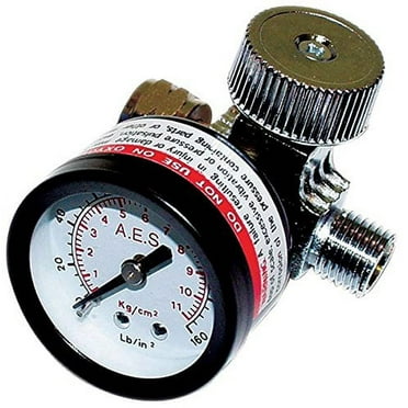 Air Regulator w/ Gauge 882