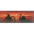 thumbnail image 2 of Werner 24x11 Black Ornate Wood Framed with Double Matting Museum Art Print Titled - SWANS IN THE SUNSET, 2 of 4