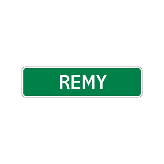 Remy Boys Children Name Letter Printed Label Novelty Wall Plaque Decoration Indoor Outdoor Aluminum Metal Sign 4"x13.5"