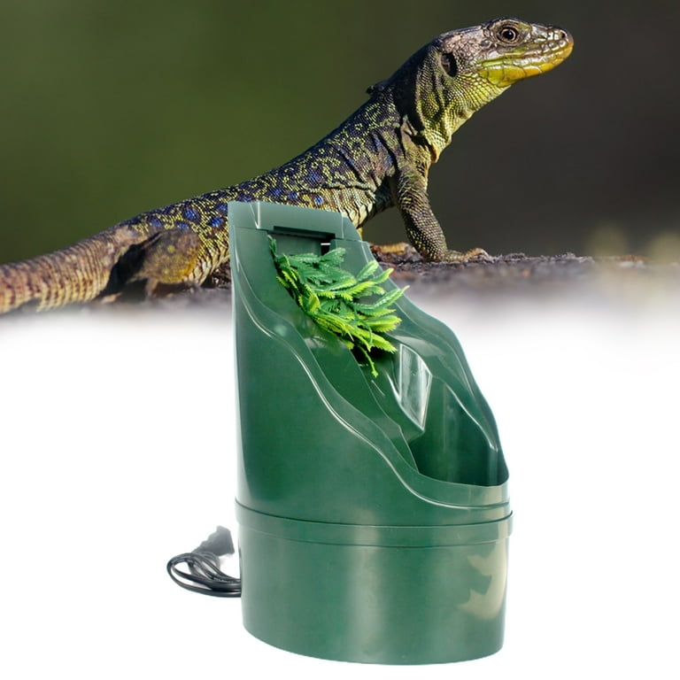 Water lizard pet sales
