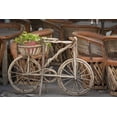 thumbnail image 2 of Paulson, Don 18x13 White Modern Wood Framed Museum Art Print Titled - Mexico, Guanajuato Bicycle with potted plant, 2 of 4