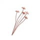 thumbnail image 1 of Estacas de Jardín Decorativas de Metal con Forma de Seta, Perfectas para Decoración de Al Aire Libre y para Agregar A Su Decoración de Flores de Metal Al Aire Libre, 1 of 5