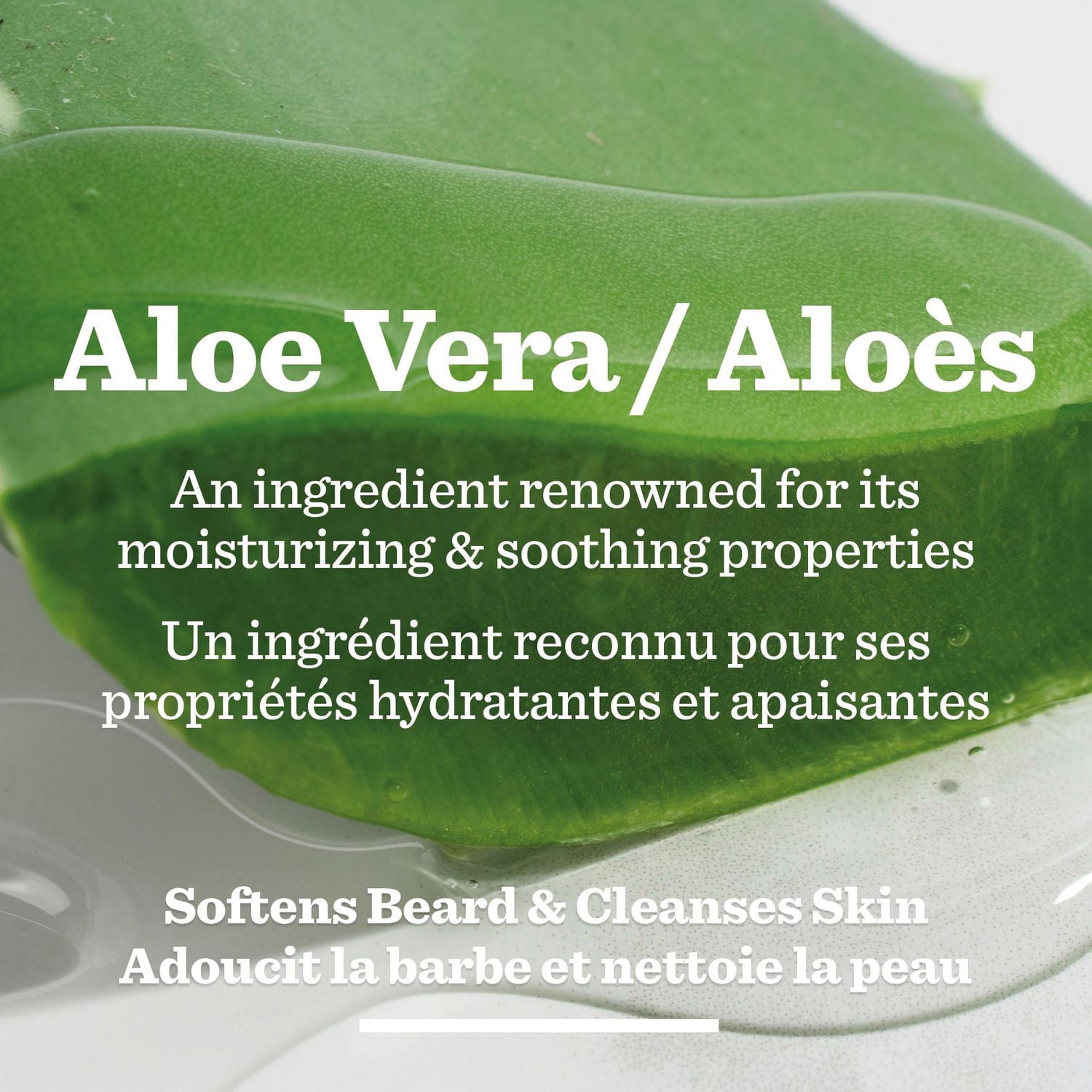 Gel nettoyant pour le visage et la barbe en formule originale de marque Bulldog 300 mL