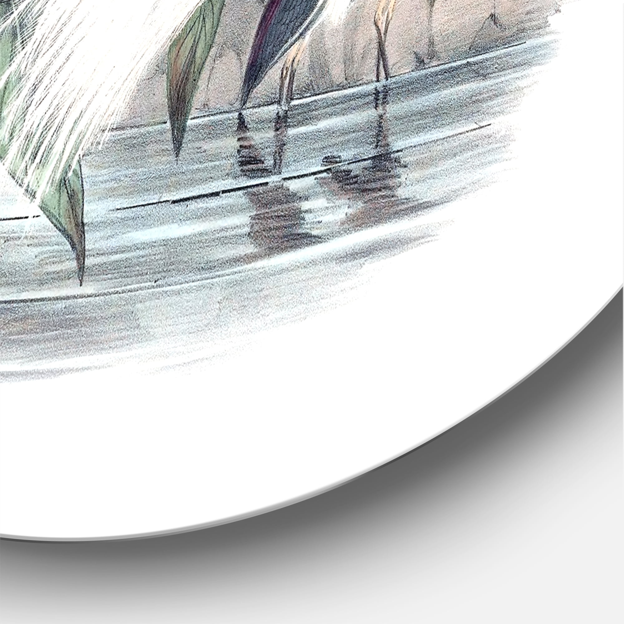 Designart 'Ancient Birds Of Australia' Traditional Circle Metal Wall Art 23x23 - Disc of 23