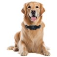 thumbnail image 1 of Collar para Perro FREEZE2TRIM Furthrive GPS Inalámbrico Impermeable, 1 of 9