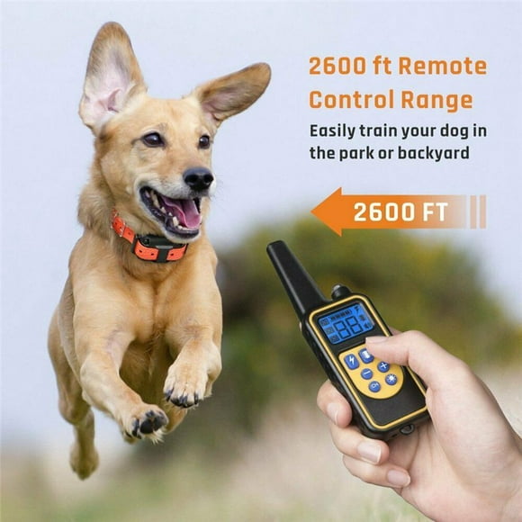 POINTERTECK Dog Trainer