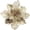 Champagne, variant on Ejiaya 12 Pieces 4" Glitter Christmas Flowers White Poinsettia Artificial Flower Christmas Tree Flowers Wreath Tree Ornaments