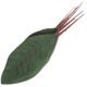 thumbnail image 2 of 10 Pcs Matas Artificiales Para Decoracion Hand Decor False Plant Leaves Artificial Leaf Wreath Wedding Decor, 2 of 3