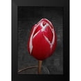 thumbnail image 2 of Geyman, Vitaly 11x14 Black Modern Framed Museum Art Print Titled - Tulip Letter III, 2 of 5