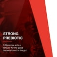 thumbnail image 5 of Protocol for Life Balance D-Mannose 500 mg - for Bladder - 90 Veg Caps, 5 of 8