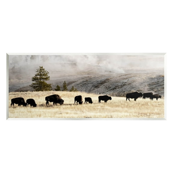 Grazing Bison Rural Country Fog Animals & Insects Photograph Unframed Art Print Wall Art