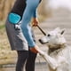 thumbnail image 4 of Billuyoard Bolsa de silicona para aperitivos de mascotas, portátil, lavable, Flexible, Adorable, reemplazo de entrenamiento, bolsa de juego, Suministros para perros Azul, 4 of 6